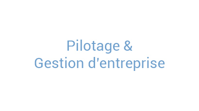 pilotage_gestion_ent