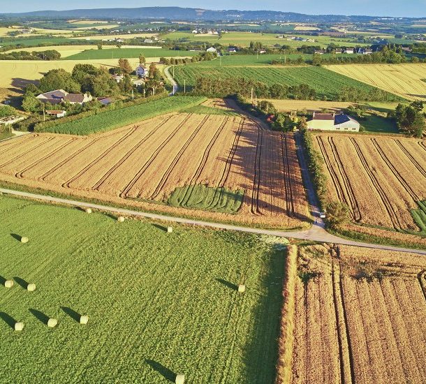 Le marché des terres agricoles en 2021