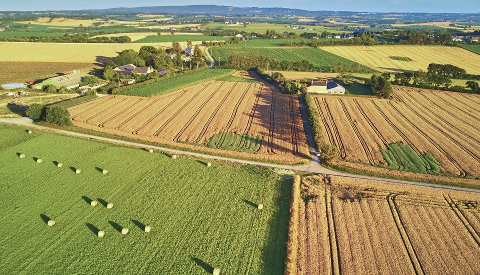 Le marché des terres agricoles en 2021