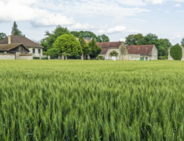 biens ruraux loués