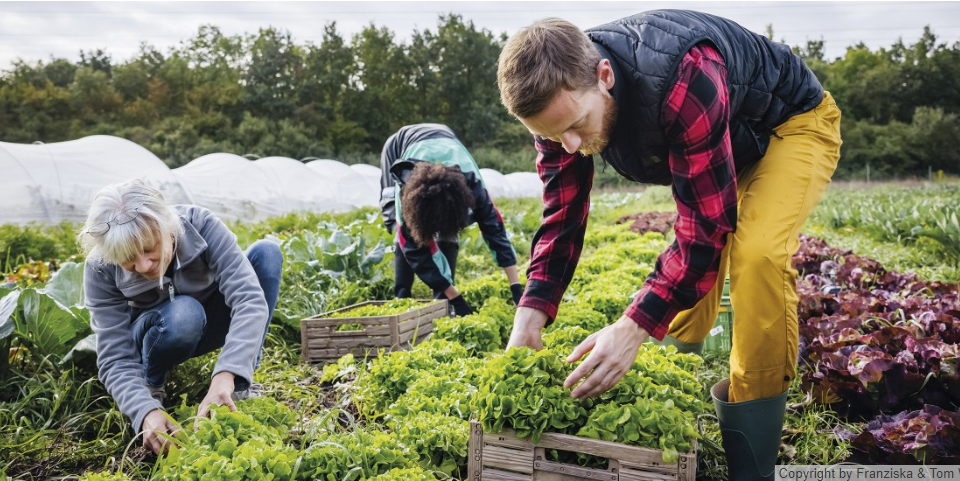 Exploitants agricoles : les nouveautés fiscales pour 2024