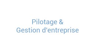 pilotage_gestion_ent